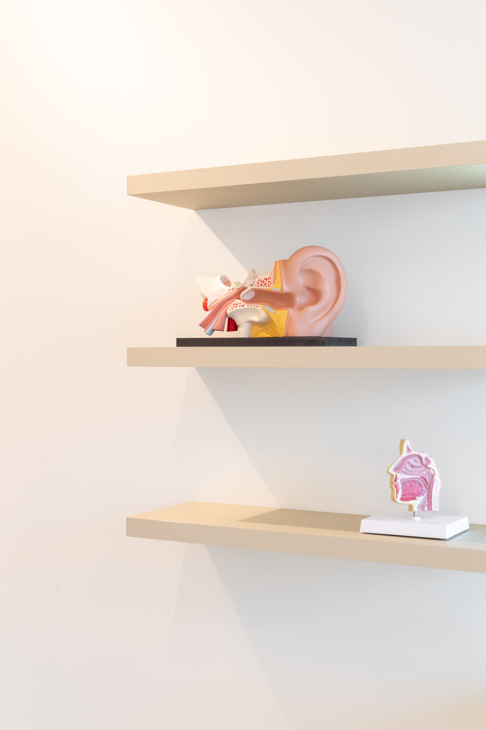 Studiovision ql 210916 mechelen peetersnathalie LR 030 SV5 0735